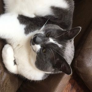 Meet your Posher, Barbara